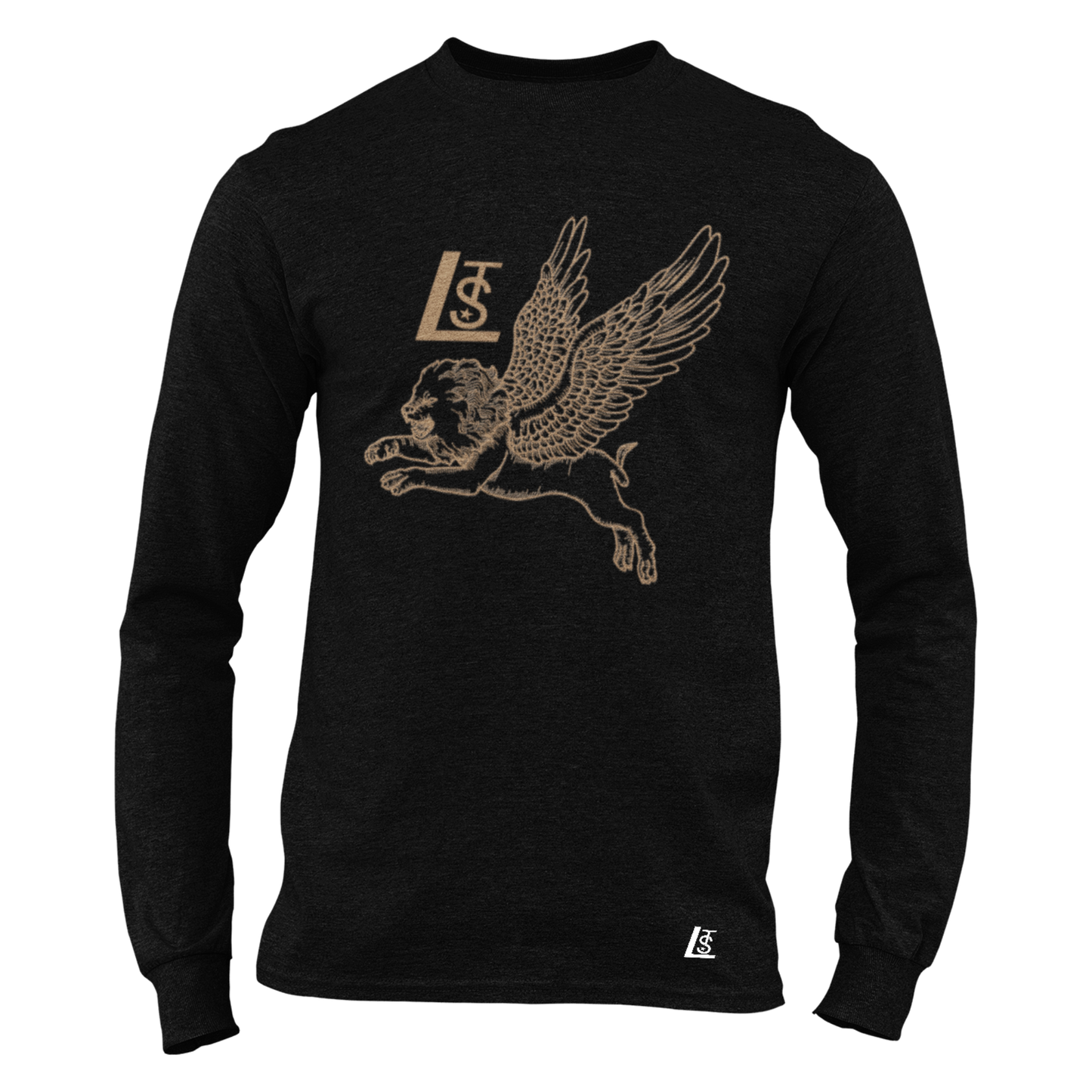 Graphic T-shirt, Black long Sleeve T-Shirt with abstract design