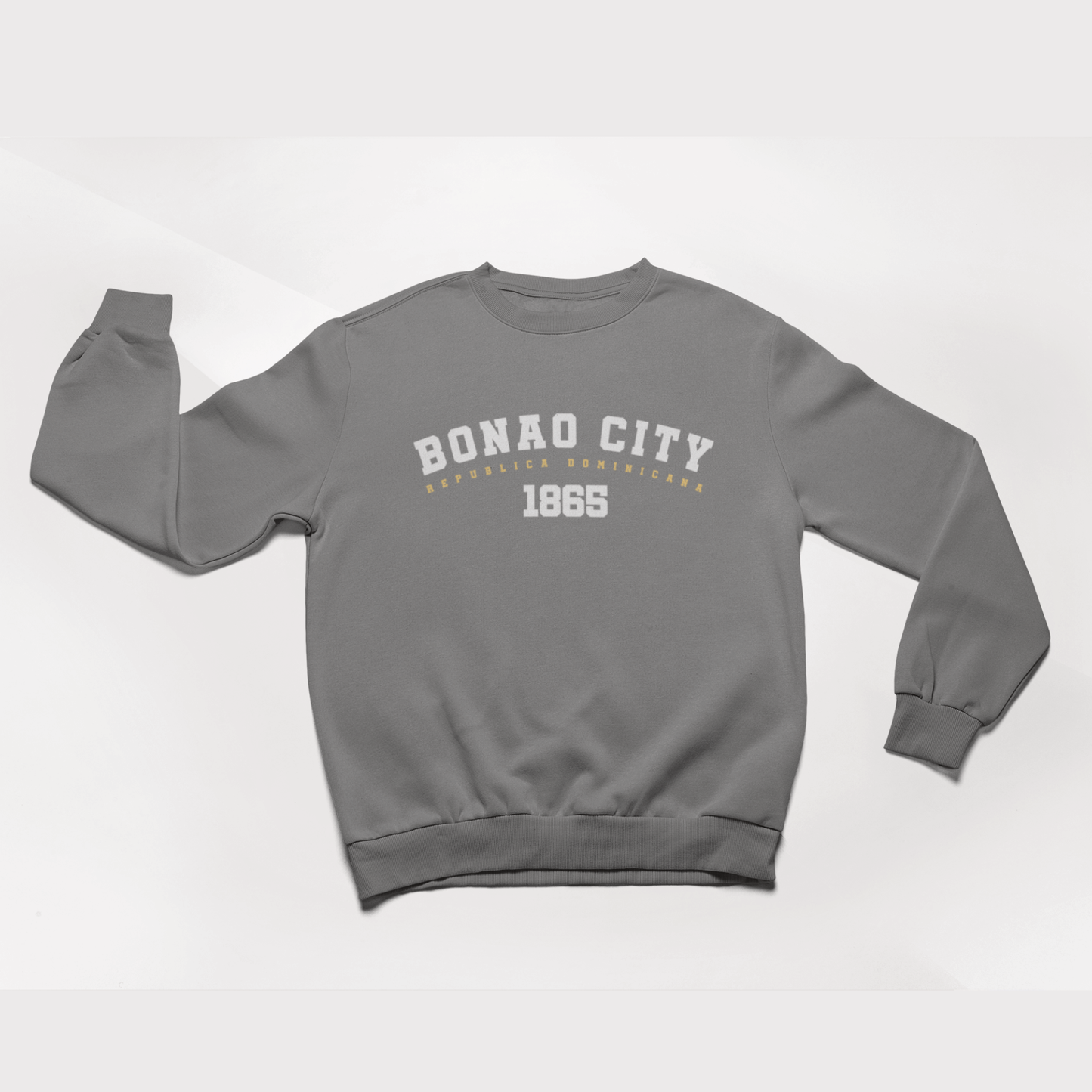 College Style Sweatshirt: National Pride 2021