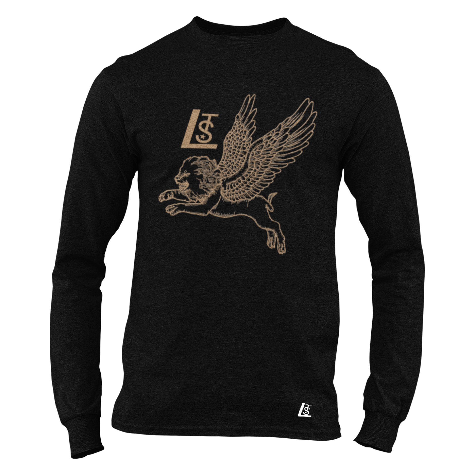 Graphic T-shirt, Black long Sleeve T-Shirt with abstract design